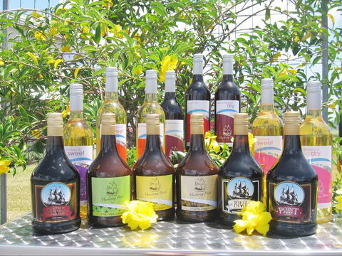 Murdering Point Winery - Northern Rivers Accommodation 0