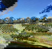 Cherrytime Orchard - Northern Rivers Accommodation