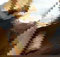 Kunara Organic Cafe - Northern Rivers Accommodation