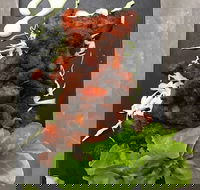 Le Wrap - Prairiewood - Northern Rivers Accommodation