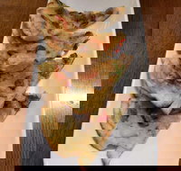 Phill Bean - Northern Rivers Accommodation