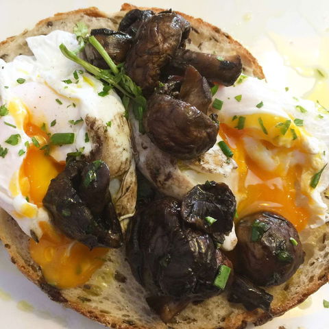 The Laneway Espresso - Northern Rivers Accommodation 0