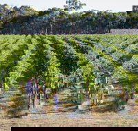 Weathercraft Wines - Northern Rivers Accommodation