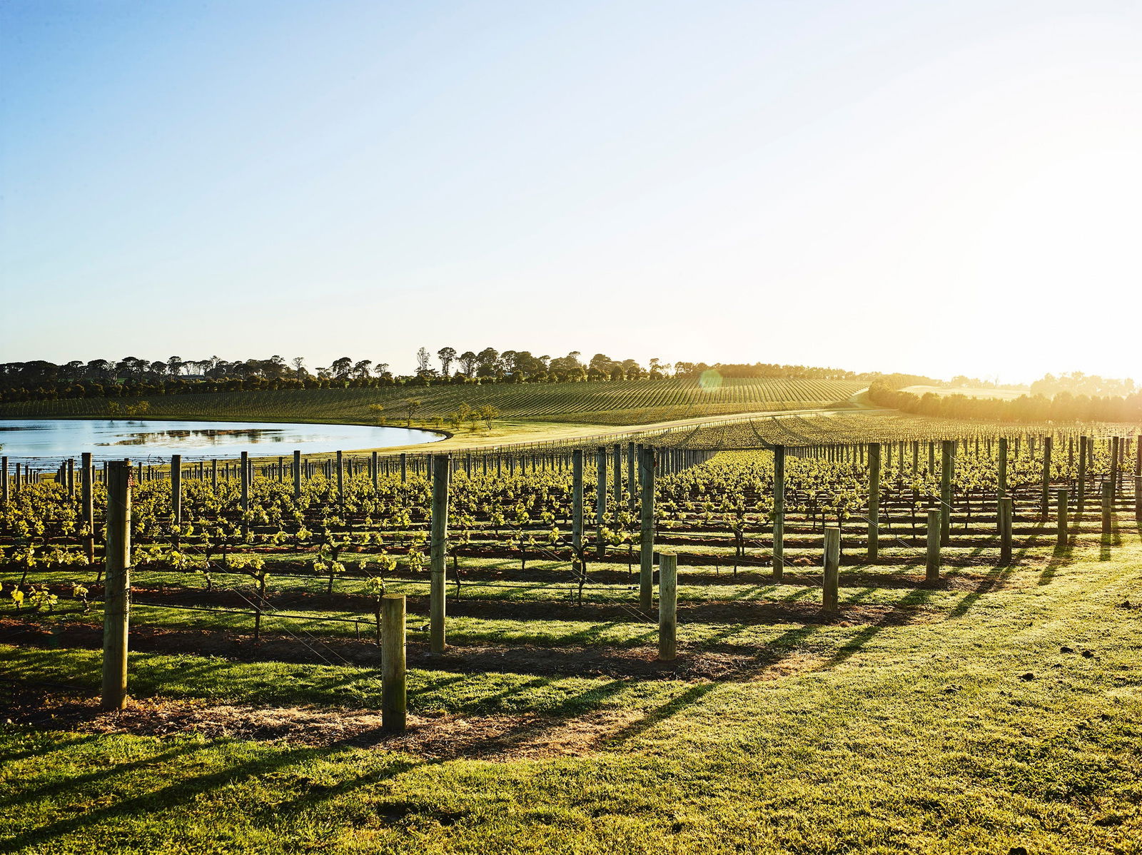 Merricks VIC Northern Rivers Accommodation