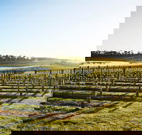 Wine Terrace and Cellar Door at Pt Leo Estate - Northern Rivers Accommodation
