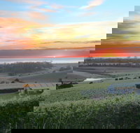 Cape Bernier Vineyard - Northern Rivers Accommodation