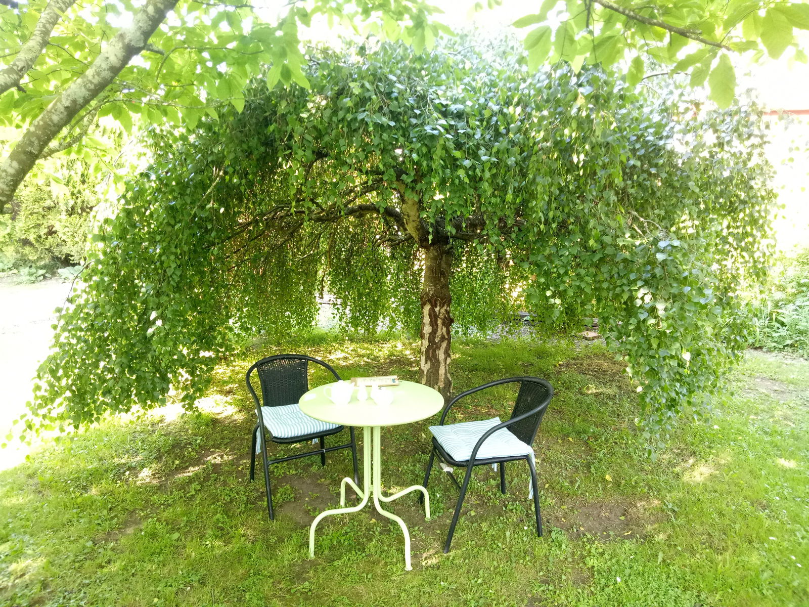 Mole Creek TAS Northern Rivers Accommodation