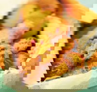 Mrs. Fields - Baldivis - Northern Rivers Accommodation