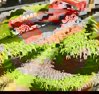 Runaway Cupcakes - Northern Rivers Accommodation