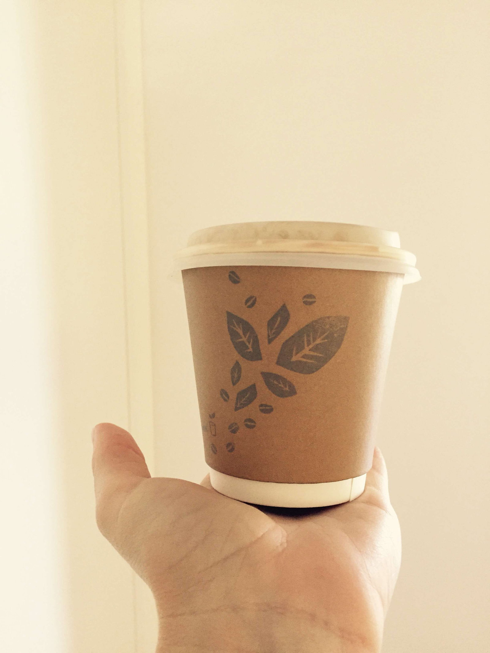 Burnie TAS Northern Rivers Accommodation