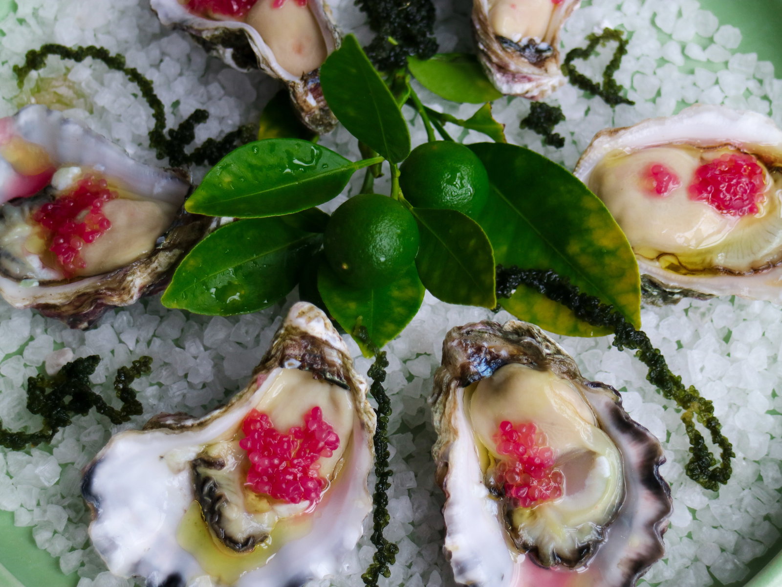 Gerringong NSW Northern Rivers Accommodation