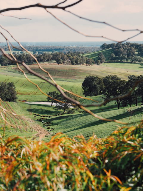 Green Door Winery Cellar Door - Northern Rivers Accommodation 0