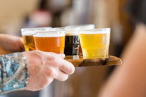 Seven Sheds Brewery Meadery And Hop Garden - Northern Rivers Accommodation 0