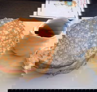 Steel Tree  Settlers - Northern Rivers Accommodation