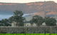 Wilksch Estate Wines - thumb 0