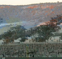 Wilksch Estate Wines - Northern Rivers Accommodation