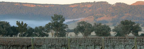 Wilksch Estate Wines - Northern Rivers Accommodation 0