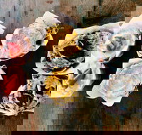 Blackbird Espresso - Northern Rivers Accommodation