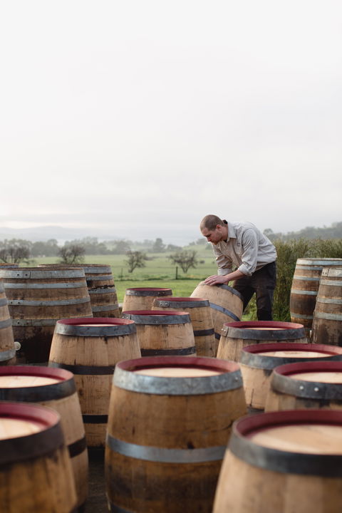 Lark Distillery - Northern Rivers Accommodation 2