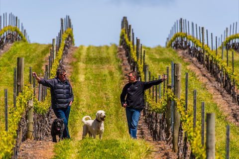 Tim Adams Wines - Northern Rivers Accommodation 2