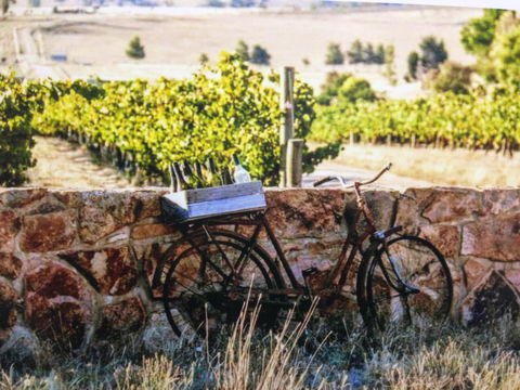 Booths Taminick Cellars - Northern Rivers Accommodation 1