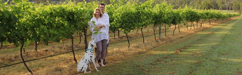 Greenway Wines - Northern Rivers Accommodation 1