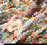 Al Fayhaa Bakery - Northern Rivers Accommodation