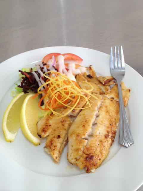 Fishy But Nice - Springfield - Northern Rivers Accommodation 0