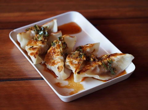 Harajuku Gyoza - Northern Rivers Accommodation 0