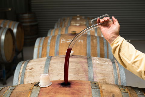 Herbert Vineyard Cellar Door - Northern Rivers Accommodation 1