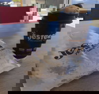 Jesters - Canning Vale - Northern Rivers Accommodation