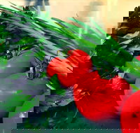 Marmaris II Take-Away - Northern Rivers Accommodation