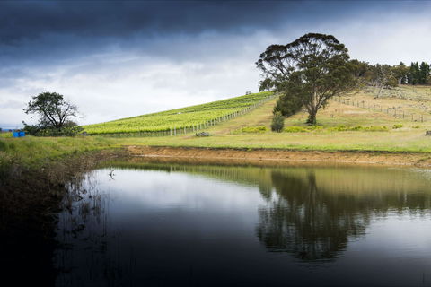 Mount Majura Vineyard - Northern Rivers Accommodation 1