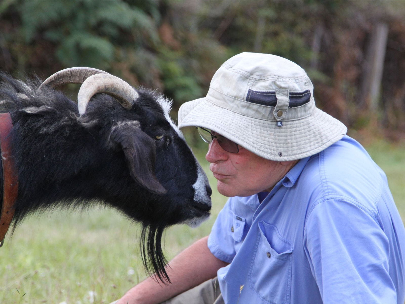 Lalla TAS Northern Rivers Accommodation