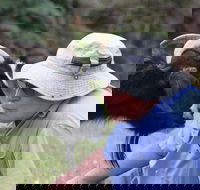 Providence Vineyards - Northern Rivers Accommodation