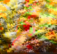 Sushi Street - Northern Rivers Accommodation