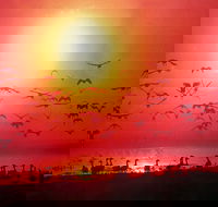 TINH and LAN Vietnamese Restaurant - Northern Rivers Accommodation