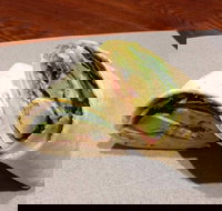 Wrap N Roll - Helensvale - Northern Rivers Accommodation