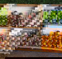 Melonhead