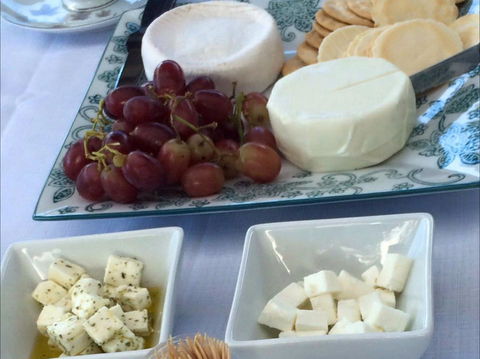 Sunhill Dairy Goats And Sunhill Skin Essentials - Northern Rivers Accommodation 1