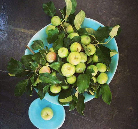 Seed Winehouse + Kitchen - Northern Rivers Accommodation 6