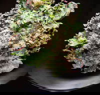 Arthur Waterhouse Lounge - Northern Rivers Accommodation