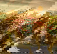 Goldfields Cafe  Bar - Northern Rivers Accommodation