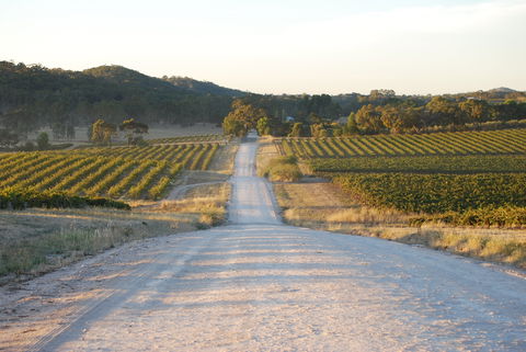 Stone Bridge Wines - Northern Rivers Accommodation 0