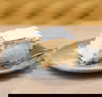 The Vanilla Slice Cafe Sorrento - Northern Rivers Accommodation