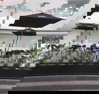 Basia Mille - Northern Rivers Accommodation