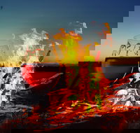 Black Dog Brewery - Northern Rivers Accommodation