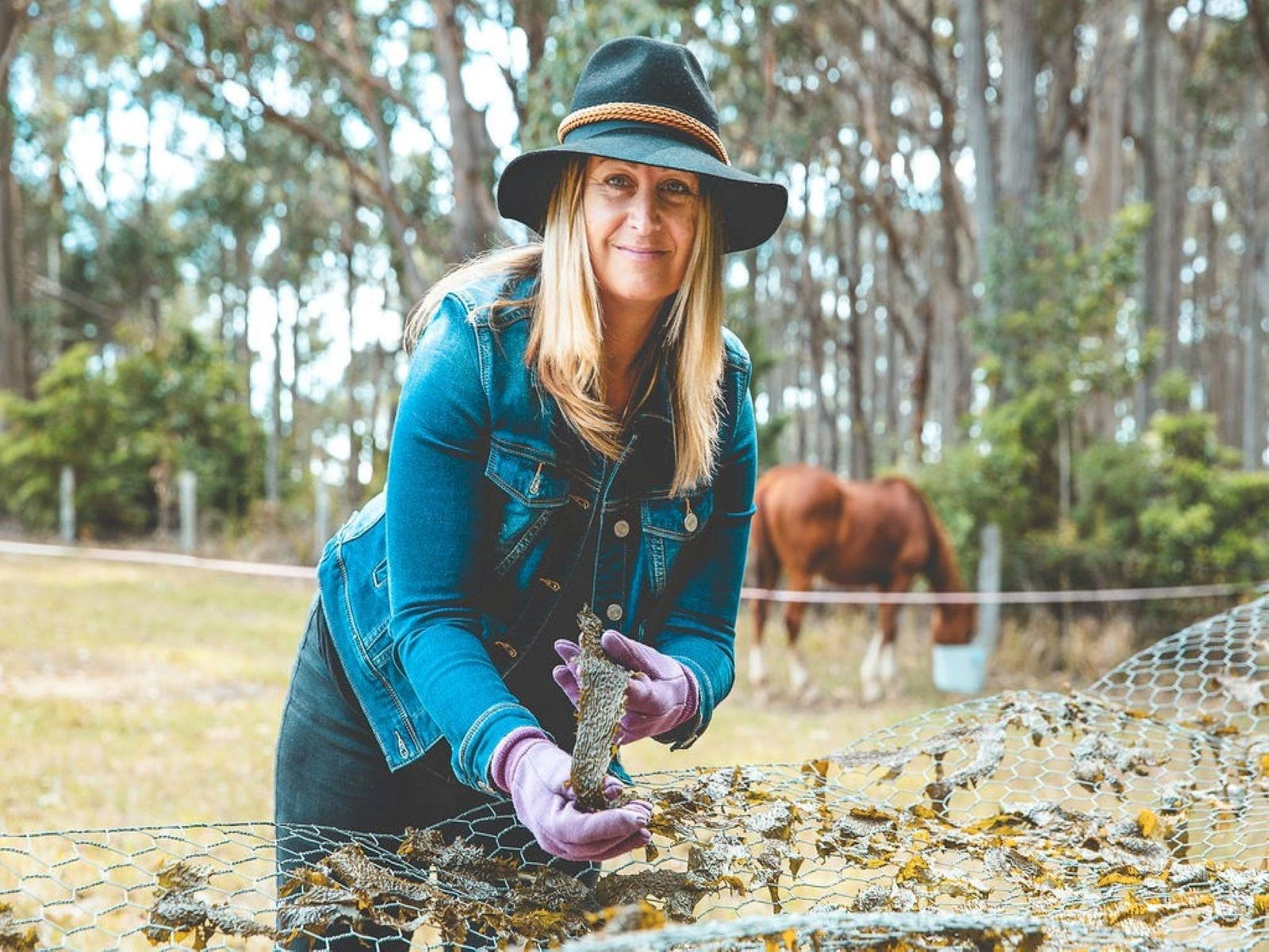 Mystery Bay NSW Northern Rivers Accommodation