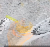 Mount Dandenong Hotel - Northern Rivers Accommodation