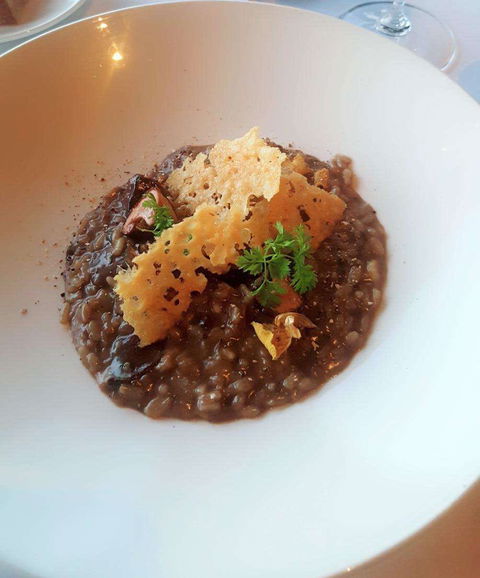 Wild Dog Restaurant - Northern Rivers Accommodation 0